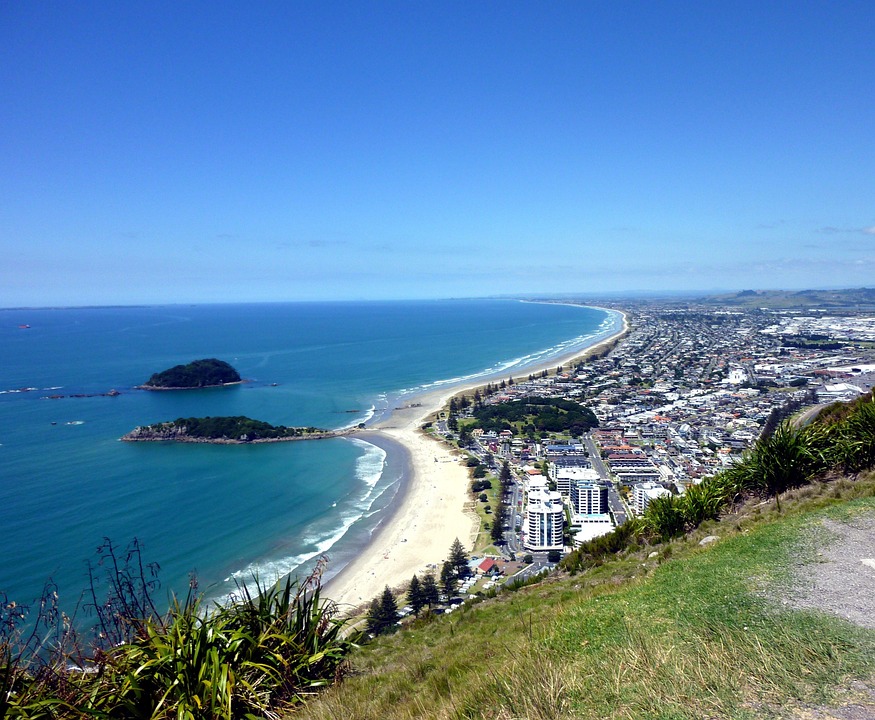 Tauranga psychologist jobs